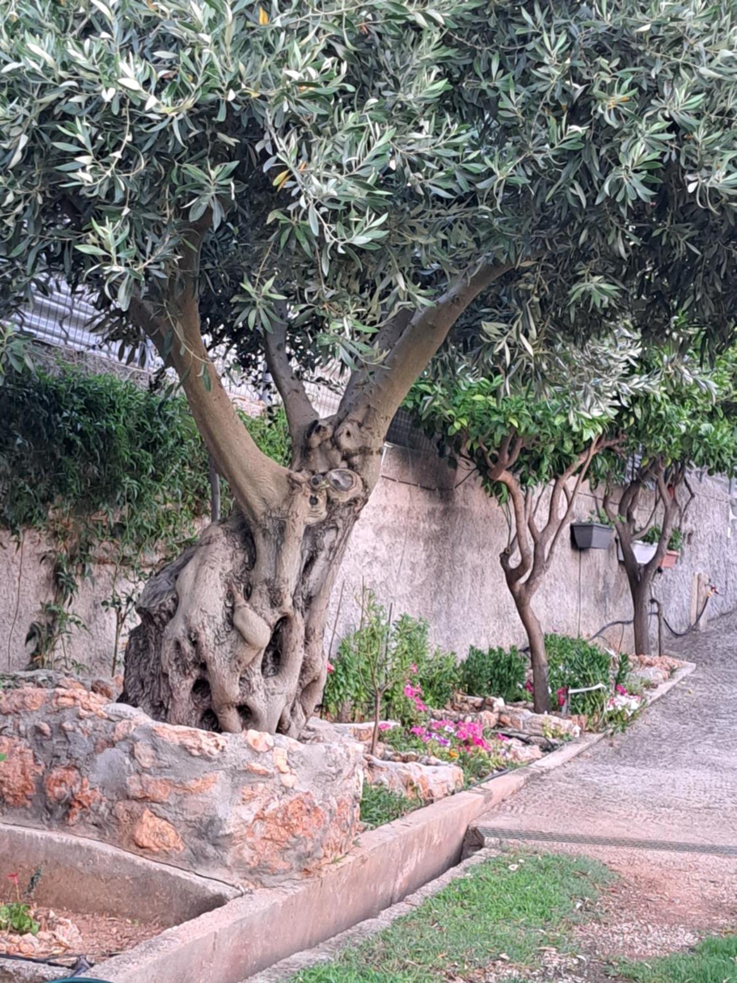 Villa Garden House-Free Transfer From Airport Artemida  Exterior foto